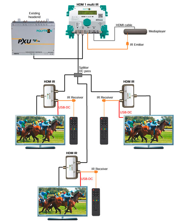 Weihnachtsaktion 2025